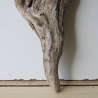 Treibholz Schwemmholz Driftwood 1 Skulptur  42 cm Bastelmaterial