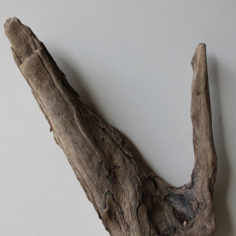 Treibholz Schwemmholz Driftwood 1 Skulptur  42 cm Bastelmaterial