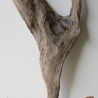 Treibholz Schwemmholz Driftwood 1 Skulptur  42 cm Bastelmaterial