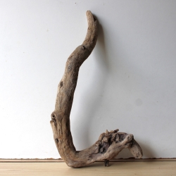 Treibholz Schwemmholz Driftwood 1  Wurzel  Terrarium  55 cm 