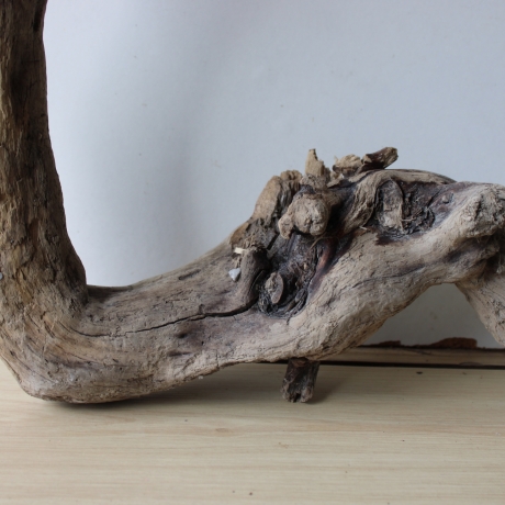 Treibholz Schwemmholz Driftwood 1  Wurzel  Terrarium  55 cm 