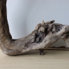 Treibholz Schwemmholz Driftwood 1  Wurzel  Terrarium  55 cm 