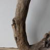 Treibholz Schwemmholz Driftwood 1  Wurzel  Terrarium  55 cm 