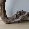 Treibholz Schwemmholz Driftwood 1  Wurzel  Terrarium  55 cm 