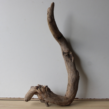 Treibholz Schwemmholz Driftwood 1  Wurzel  Terrarium  55 cm 