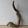 Treibholz Schwemmholz Driftwood 1  Wurzel  Terrarium  55 cm 