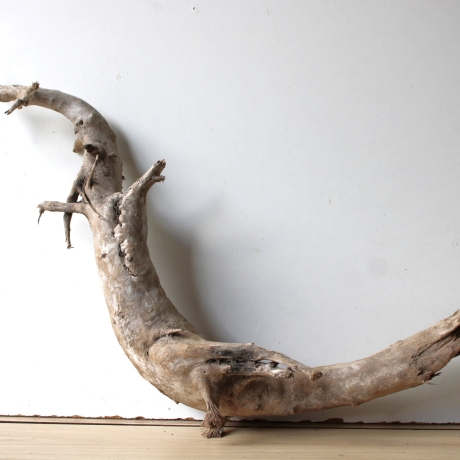 Treibholz Schwemmholz Driftwood 1 XXL  Wurzel  Terrarium 50 cm 