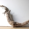 Treibholz Schwemmholz Driftwood 1 XXL  Wurzel  Terrarium 50 cm 