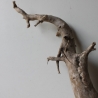Treibholz Schwemmholz Driftwood 1 XXL  Wurzel  Terrarium 50 cm 