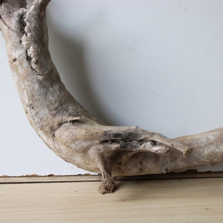 Treibholz Schwemmholz Driftwood 1 XXL  Wurzel  Terrarium 50 cm 