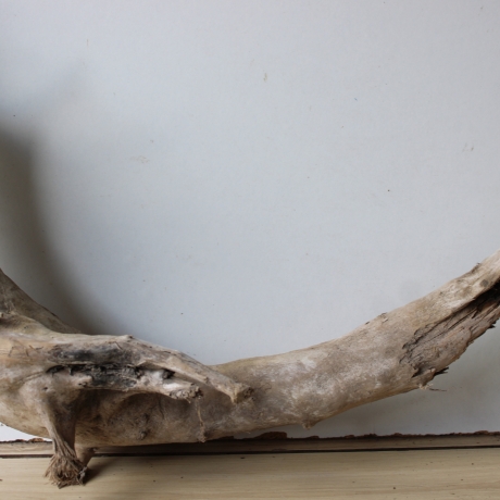 Treibholz Schwemmholz Driftwood 1 XXL  Wurzel  Terrarium 50 cm 