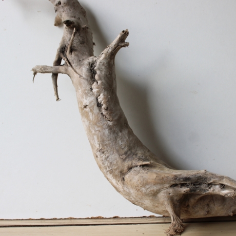 Treibholz Schwemmholz Driftwood 1 XXL  Wurzel  Terrarium 50 cm 