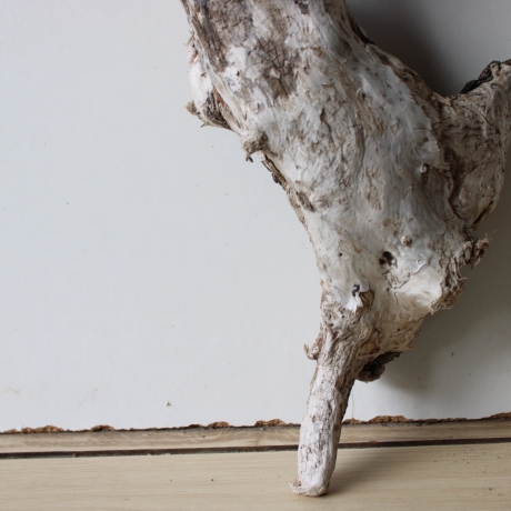 Treibholz Schwemmholz Driftwood 1  Wurzel  Terrarium  48 cm 