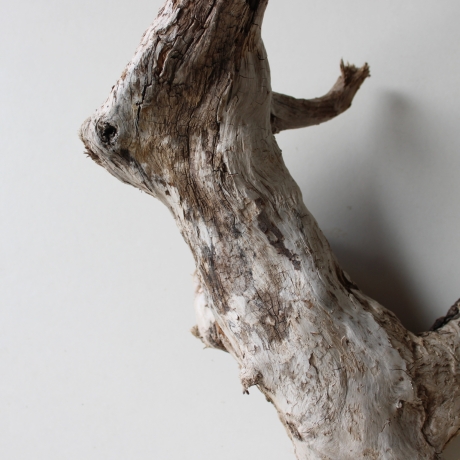 Treibholz Schwemmholz Driftwood 1  Wurzel  Terrarium  48 cm 