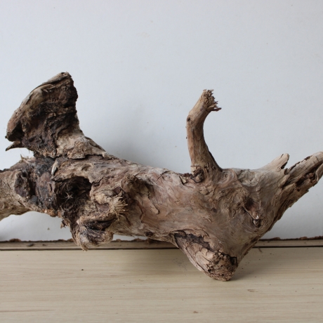Treibholz Schwemmholz Driftwood 1  Wurzel  Terrarium  48 cm 