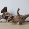 Treibholz Schwemmholz Driftwood 1  Wurzel  Terrarium  48 cm 