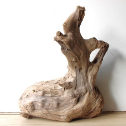 Treibholz Schwemmholz Driftwood 1 XXL Wurzel  Terrarium 57 cm 