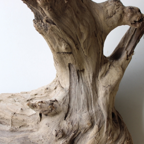 Treibholz Schwemmholz Driftwood 1 XXL Wurzel  Terrarium 57 cm 