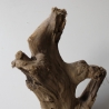 Treibholz Schwemmholz Driftwood 1 XXL Wurzel  Terrarium 57 cm 