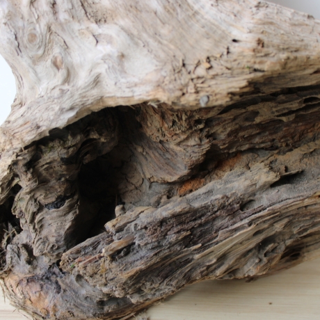 Treibholz Schwemmholz Driftwood 1 XXL Wurzel  Terrarium 57 cm 