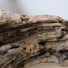 Treibholz Schwemmholz Driftwood 1 XXL Wurzel  Terrarium 57 cm 