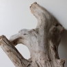 Treibholz Schwemmholz Driftwood 1 XXL Wurzel  Terrarium 57 cm 