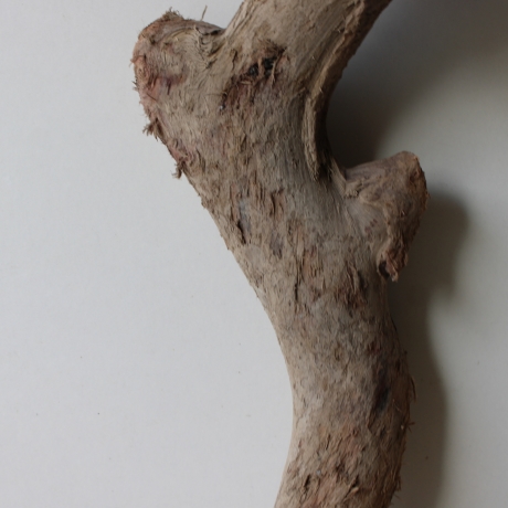 Treibholz Schwemmholz Driftwood 1 Skulptur  47 cm Bastelmaterial