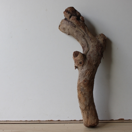 Treibholz Schwemmholz Driftwood 1 Skulptur  47 cm Bastelmaterial