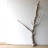 Treibholz Schwemmholz Driftwood 1 XXL Ast  Garderobe 105 cm 