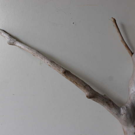 Treibholz Schwemmholz Driftwood 1 XXL Ast  Garderobe 105 cm 