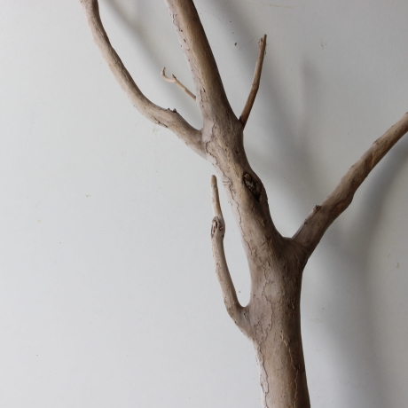 Treibholz Schwemmholz Driftwood 1 XXL Ast  Garderobe 105 cm 
