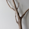 Treibholz Schwemmholz Driftwood 1 XXL Ast  Garderobe 105 cm 