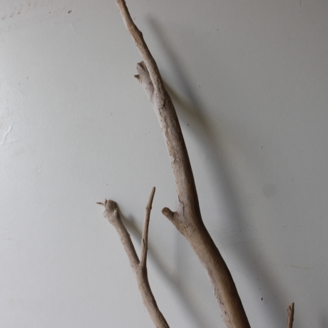 Treibholz Schwemmholz Driftwood 1 XXL Ast  Garderobe 105 cm 