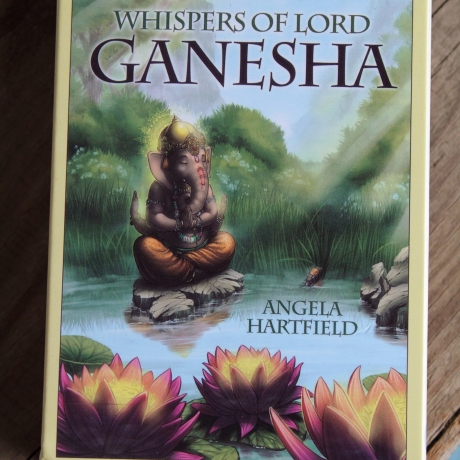 Ganesha Orakel Orakelkarten Karten Kartendeck 50 Karten