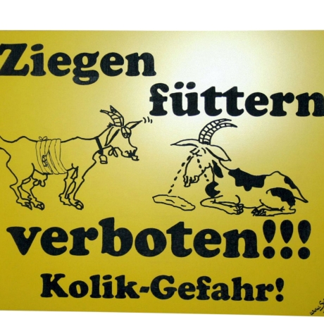 Schild Ziegen füttern verboten 1 groß - Gravurschild