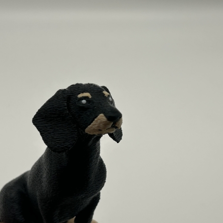 Kühlschrankmagnet Tier handgemacht aus 3D-Druck Magnettafel