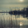 Fotografie Lichtreflexion See  FineArt Druck