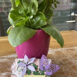 Kleine Schachteln  Kleine Schachteln