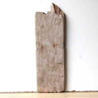 Treibholz Schwemmholz Driftwood  1 XL Brett Regal  56 cm 