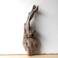 Treibholz Schwemmholz Driftwood 1 Wurzel  Terrarium 58 cm 
