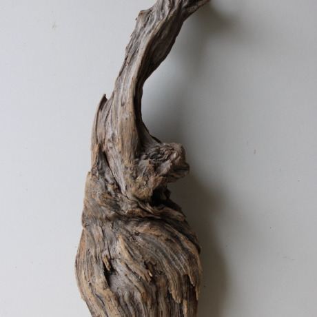 Treibholz Schwemmholz Driftwood 1 Wurzel  Terrarium 58 cm 
