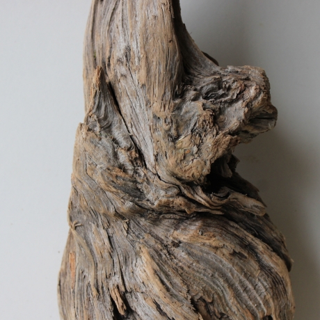 Treibholz Schwemmholz Driftwood 1 Wurzel  Terrarium 58 cm 