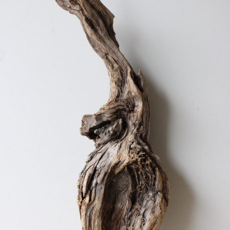 Treibholz Schwemmholz Driftwood 1 Wurzel  Terrarium 58 cm 