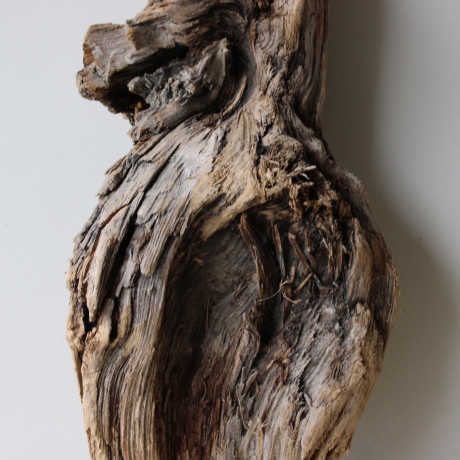 Treibholz Schwemmholz Driftwood 1 Wurzel  Terrarium 58 cm 