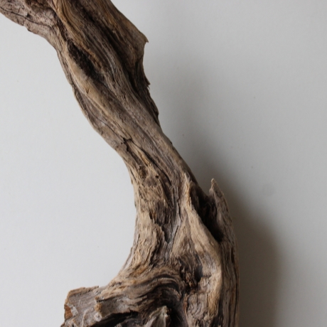 Treibholz Schwemmholz Driftwood 1 Wurzel  Terrarium 58 cm 