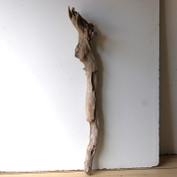 Treibholz Schwemmholz Driftwood 1 XXL Skulptur  Terrarium 100 cm 