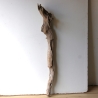 Treibholz Schwemmholz Driftwood 1 XXL Skulptur  Terrarium 100 cm 