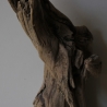 Treibholz Schwemmholz Driftwood 1 XXL Skulptur  Terrarium 100 cm 