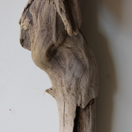 Treibholz Schwemmholz Driftwood 1 XXL Skulptur  Terrarium 100 cm 