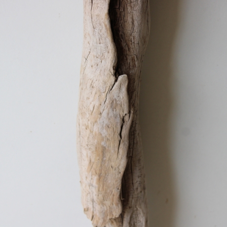 Treibholz Schwemmholz Driftwood 1 XXL Skulptur  Terrarium 100 cm 